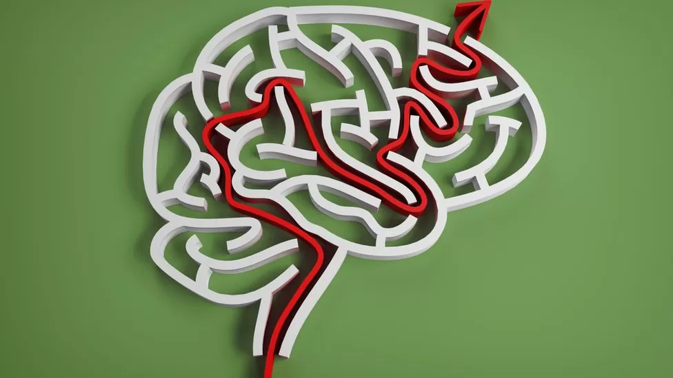 Cognition